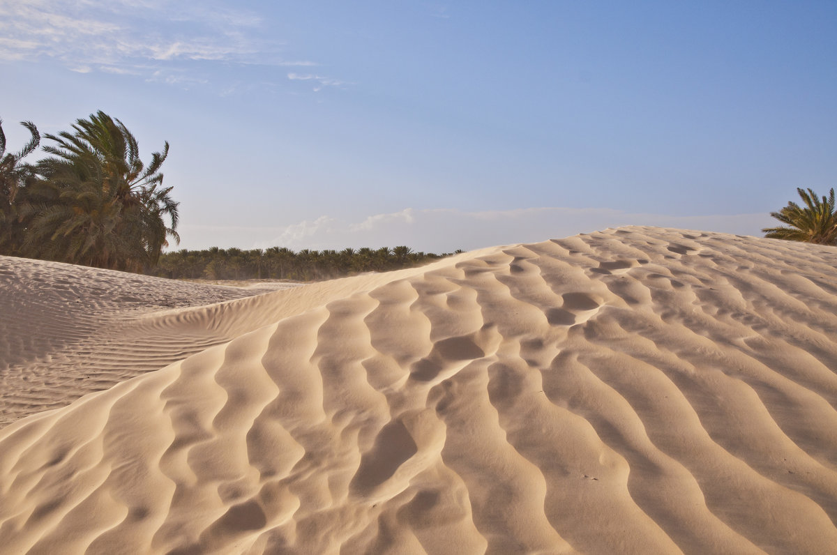 пески Сахары - Petr Popov