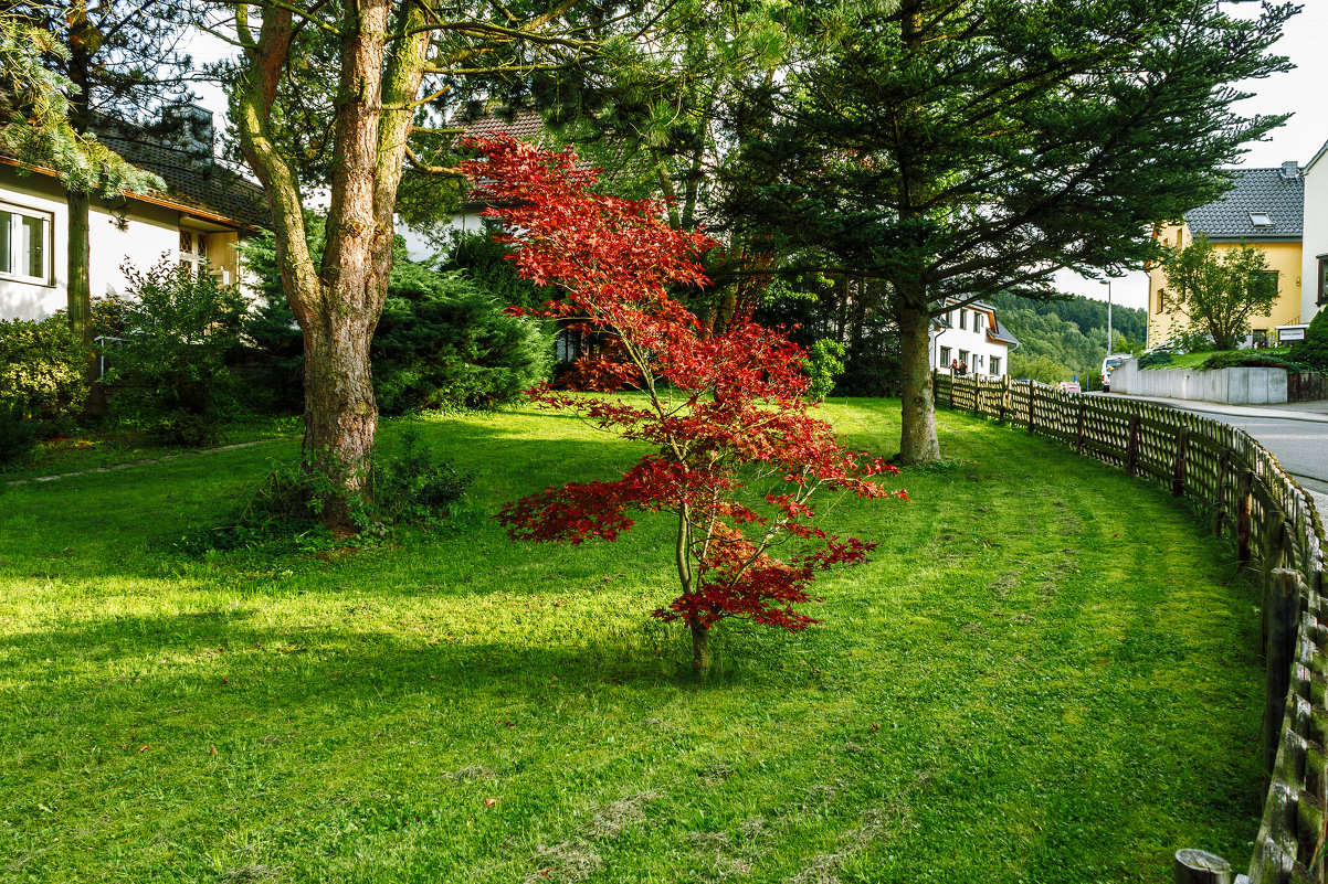 Adenau (Germany) - Nerses Davtyan