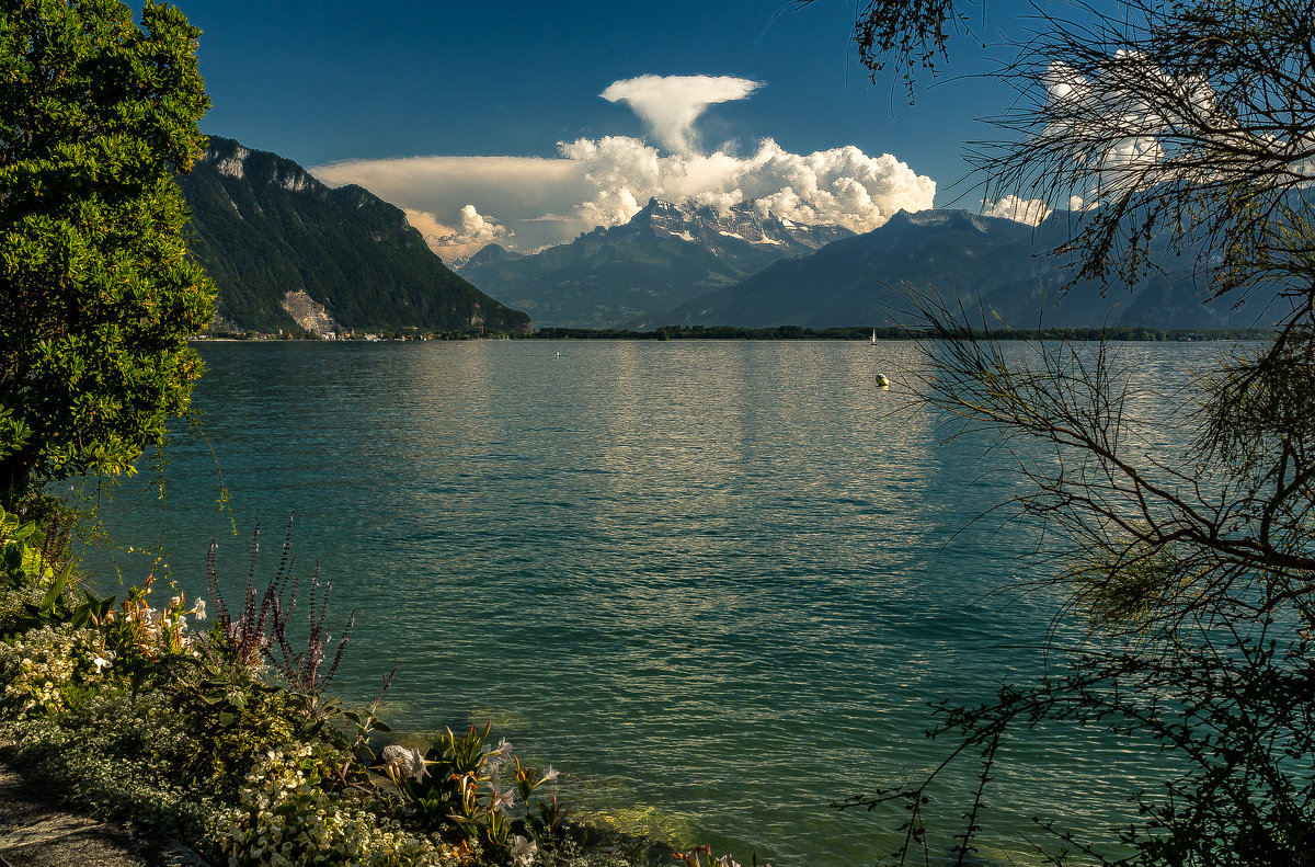 The Alps 2014 Switzerland-Montreux - Arturs Ancans