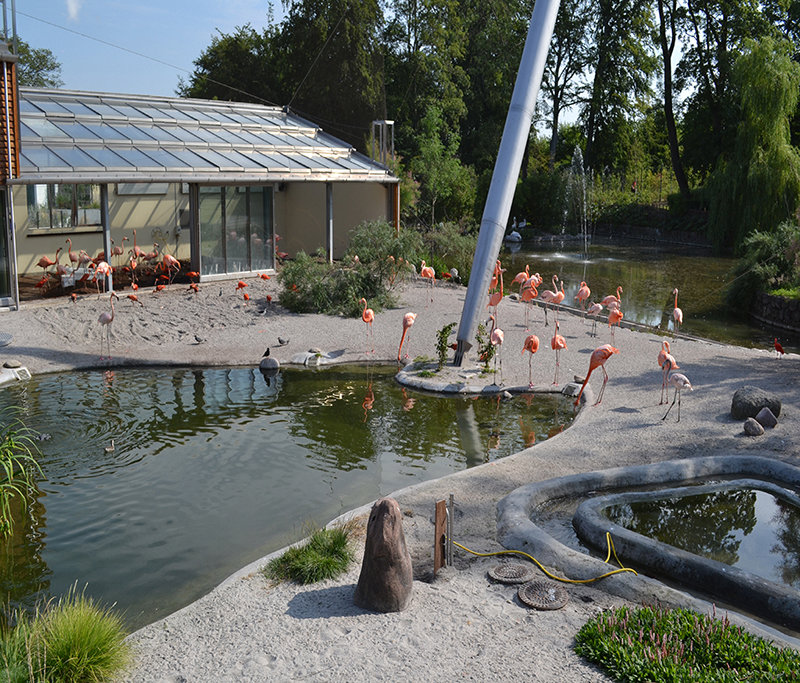 Зоопарк в Копенгагине, Дания - Lyubov Zomova