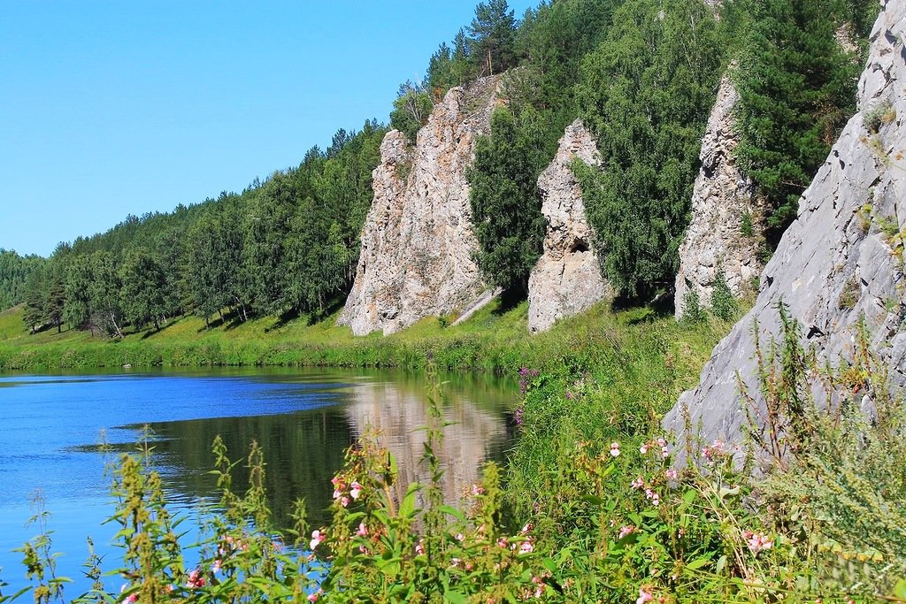 Лето - Галина Стрельченя