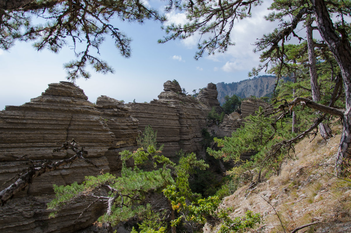 Taraktash Крым