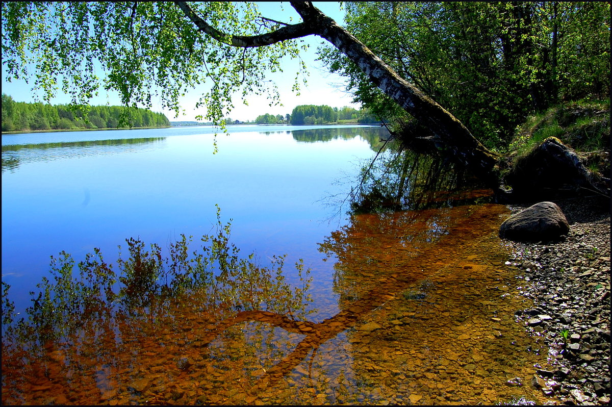 Reka Daugava. Latvija - Daiga Megne 