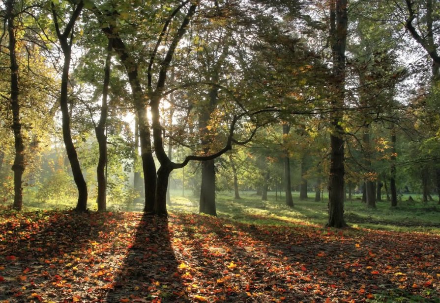Осенний парк - Павел Дунюшкин
