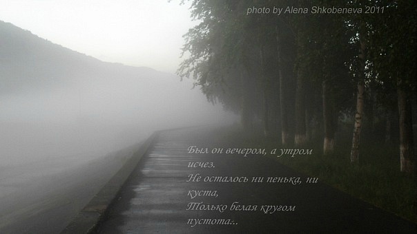 Туман - Алёна Шкобенева