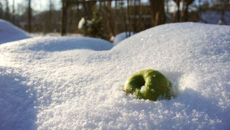 яблоко на снегу - Екатерина Шарова