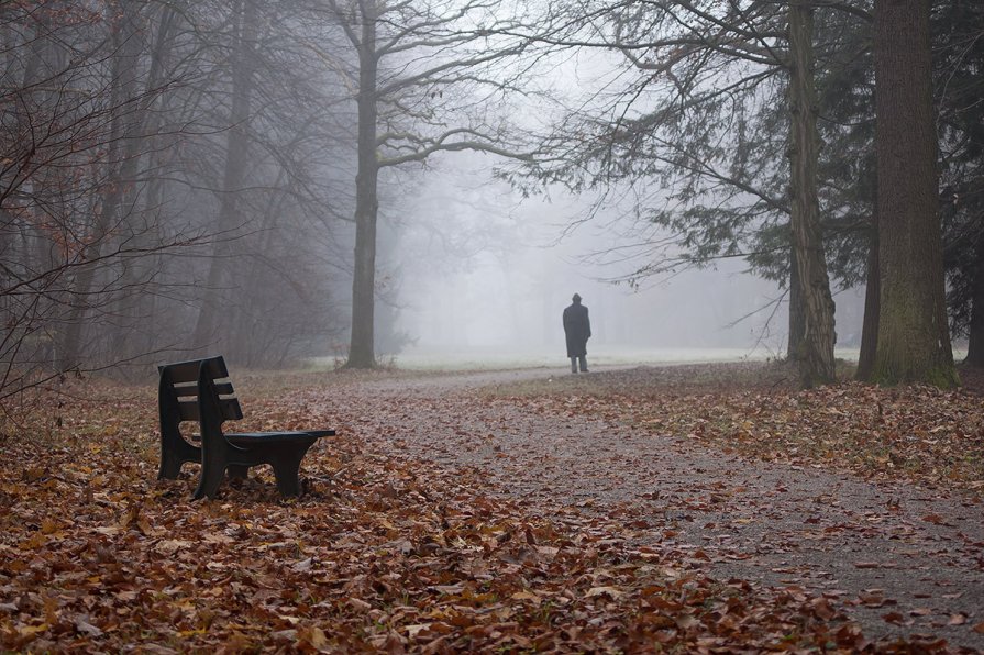 Фотография об одном немце, который медленно брел по туманному парку холодным мюнхенским утром. - Иван Месенко
