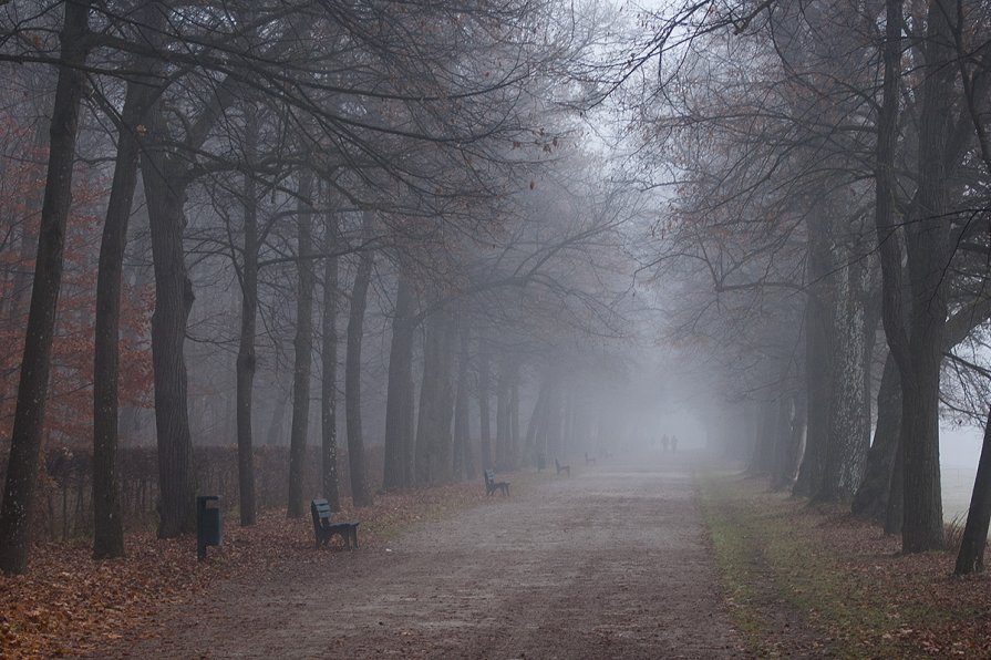 Фотография о двух стариках, гуляющих по утреннему мюнхенскому парку и вспоминающих былое... - Иван Месенко
