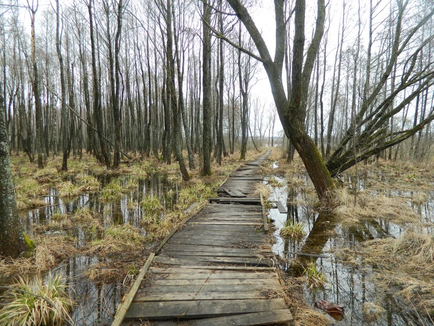 Дорога на остров к замку. - Олег Ровда