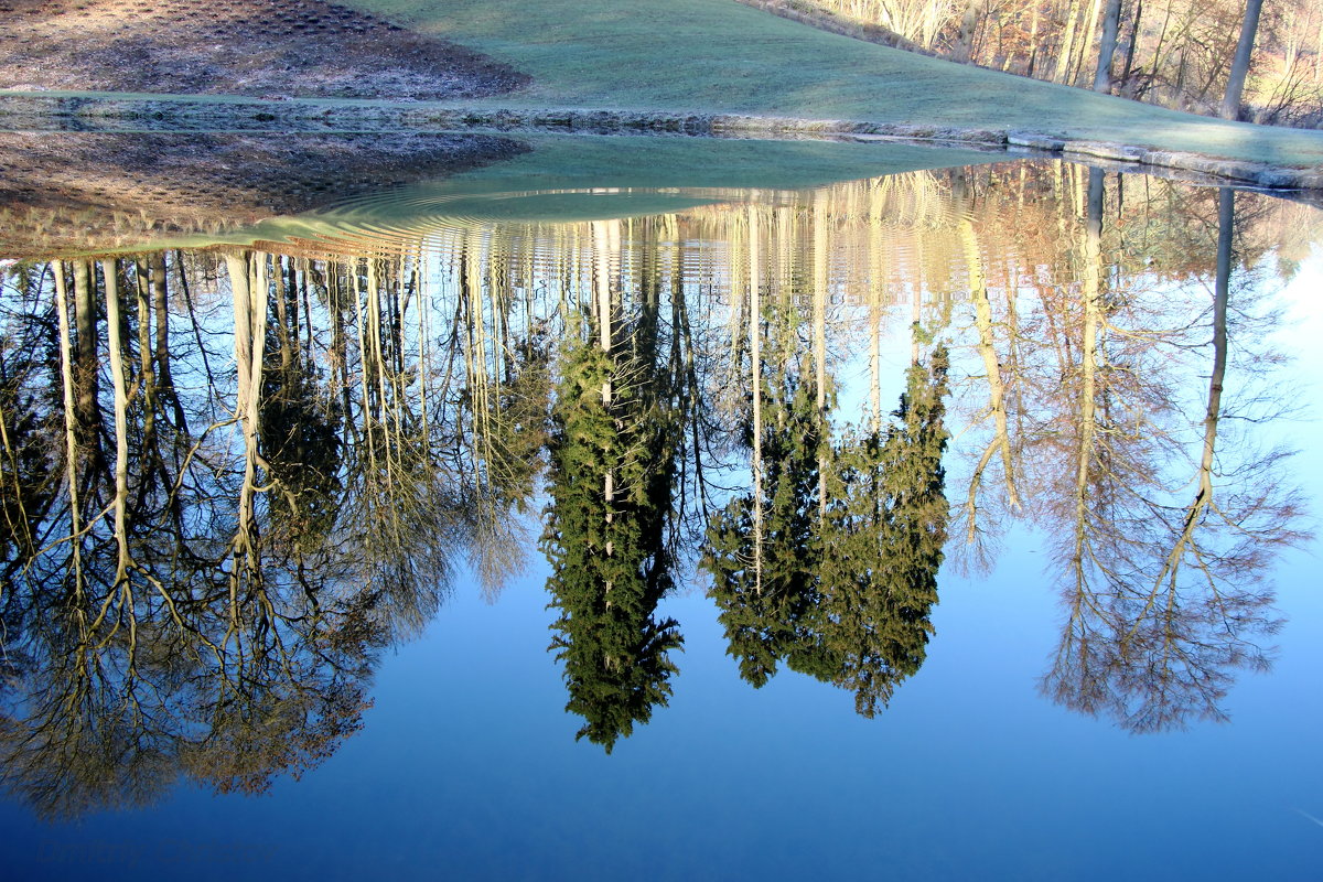 Lake eflection1 - Христов Дмитрий 