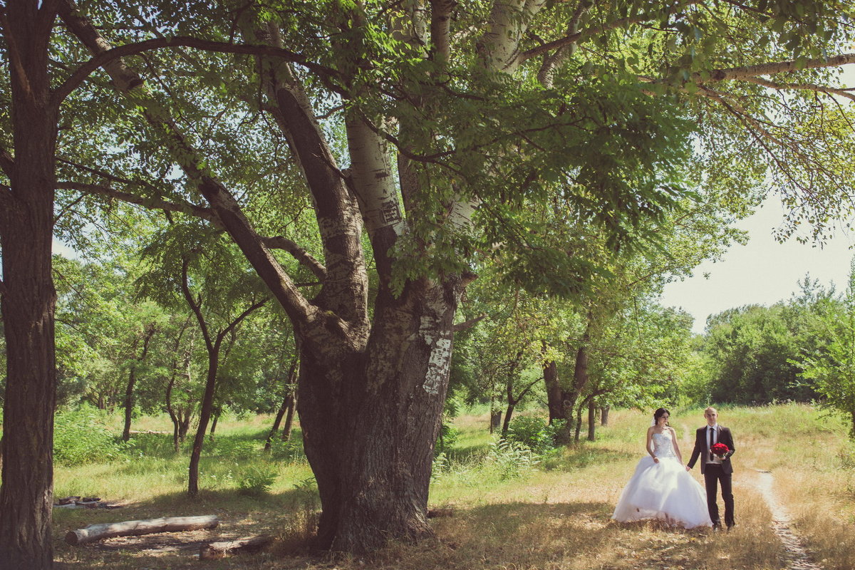 Wedding - Inna Dzhidzhelava