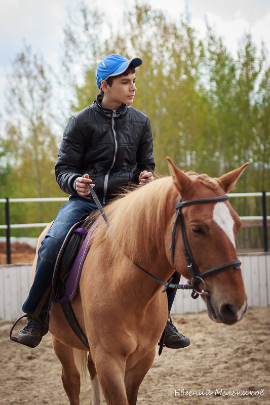 Всадник - Евгений Мельников