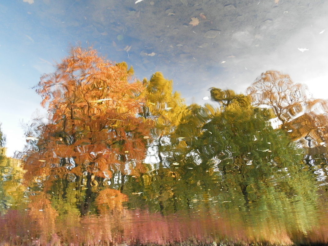 Художница-Осень.../картина первая/ - Андрей Вестмит