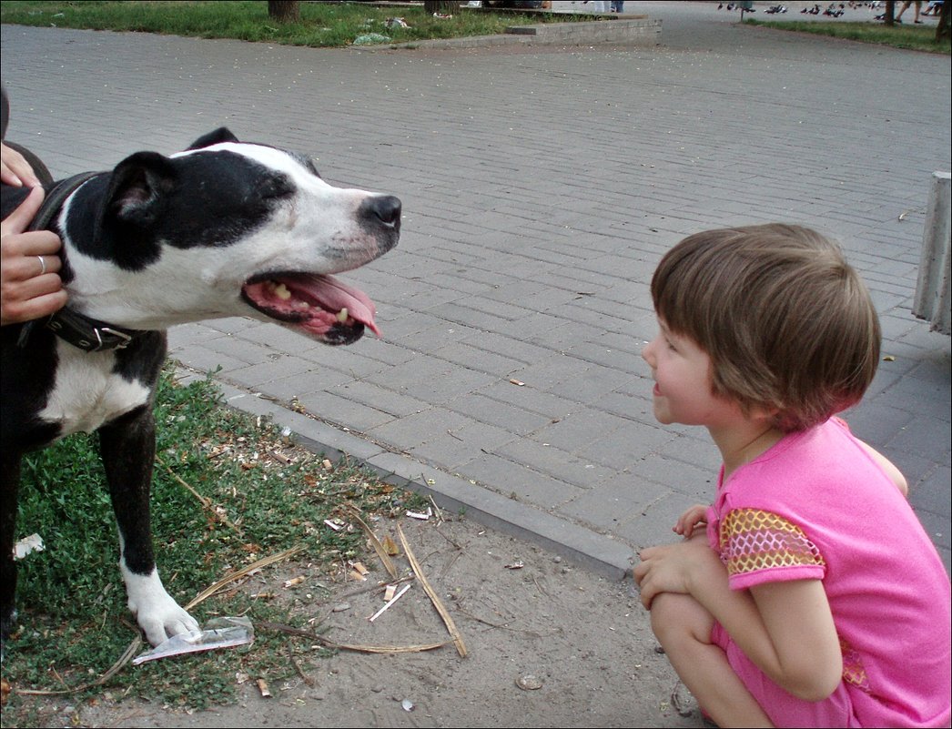"Хорошая собачка!» - Нина Корешкова