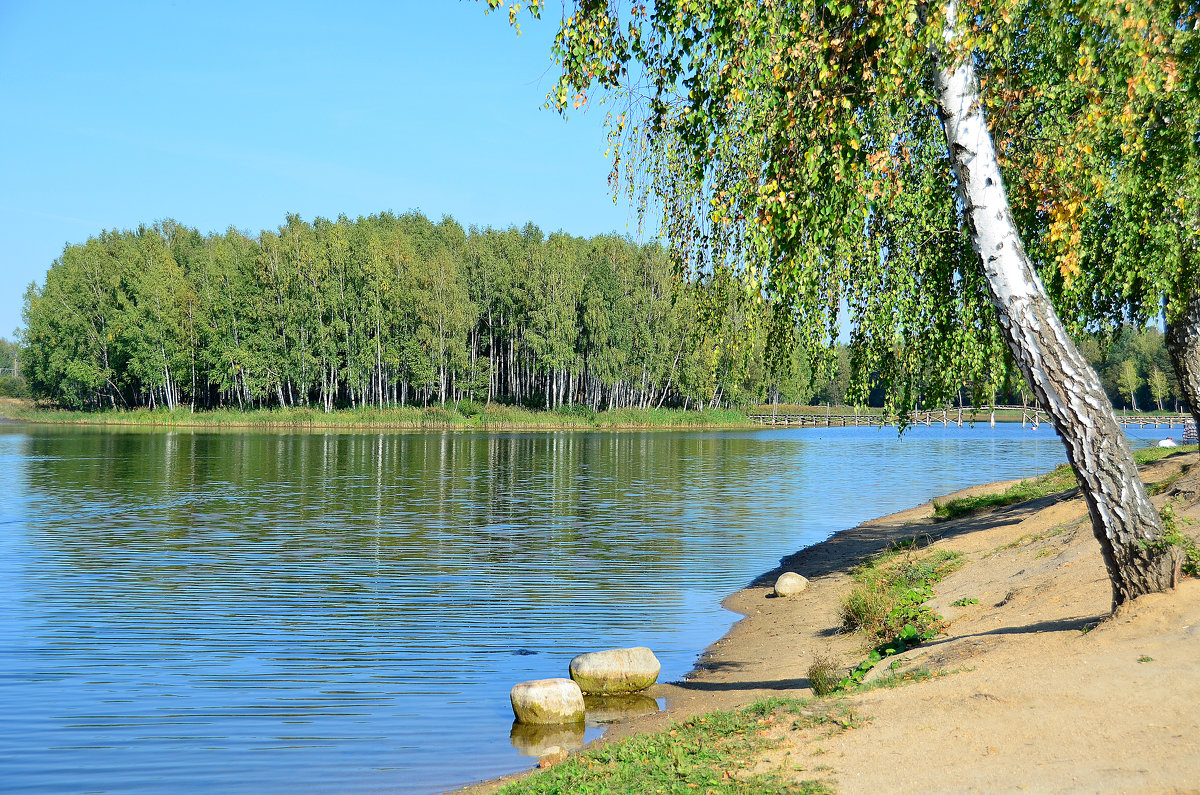 Над водой - Miola 