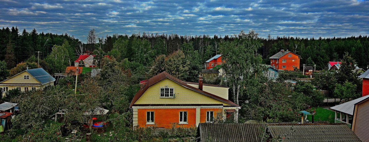 Подмосковье.Снегири - Григорий Кучушев