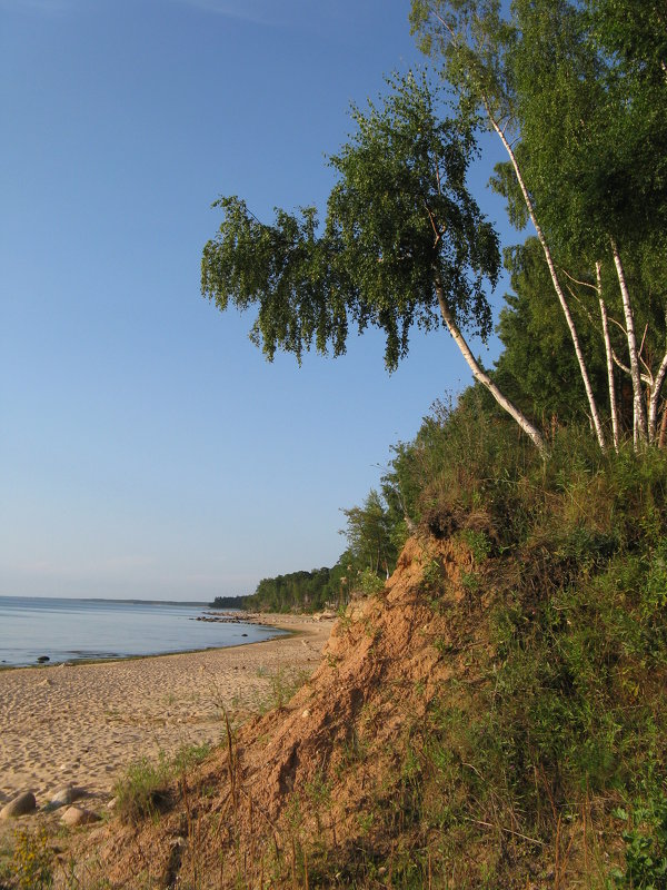 Bereg morja - Daiga Megne 