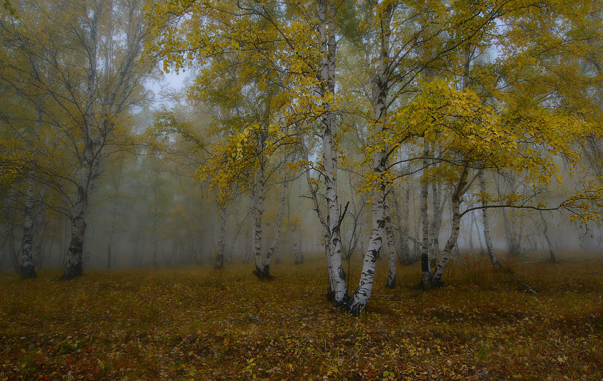 Осень - Сергей Брагин