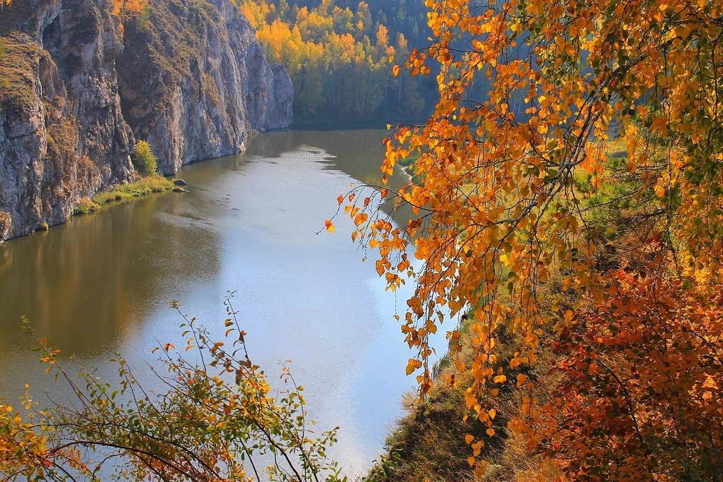 Осени краски - Галина Стрельченя