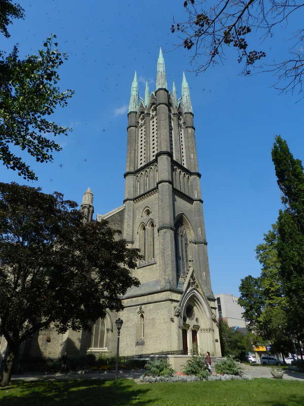 Церковь в Торонто в облаке стрекоз... - Юрий Поляков