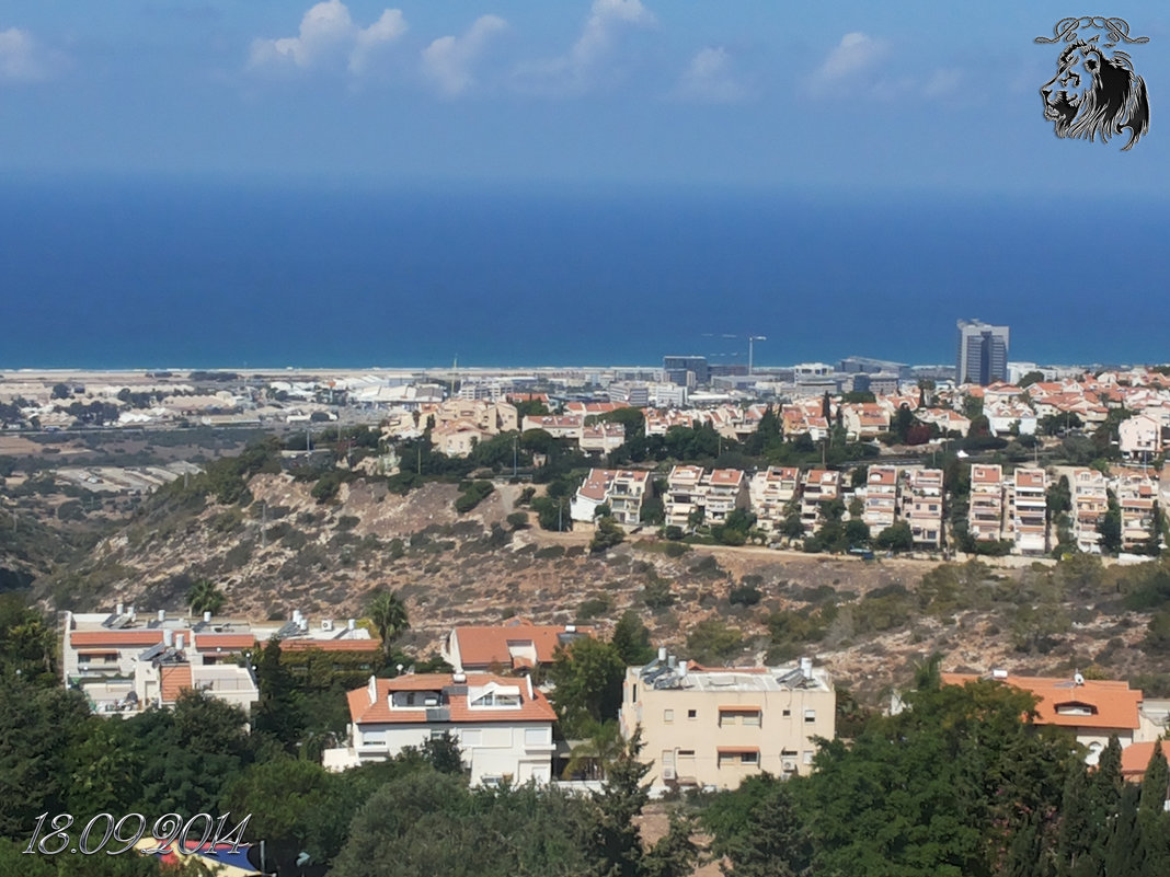 haifa - Ruslan Steshov