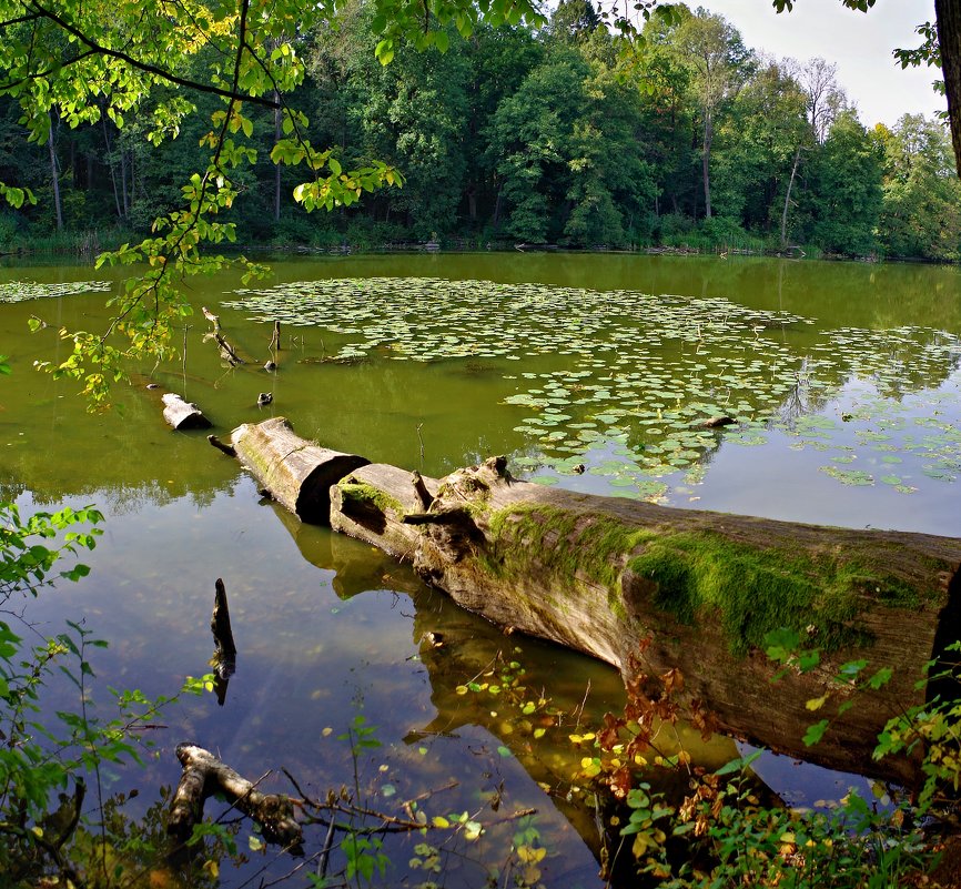 ... - юрий иванов