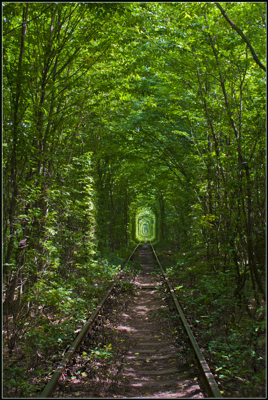 Лесной тоннель - Weles 