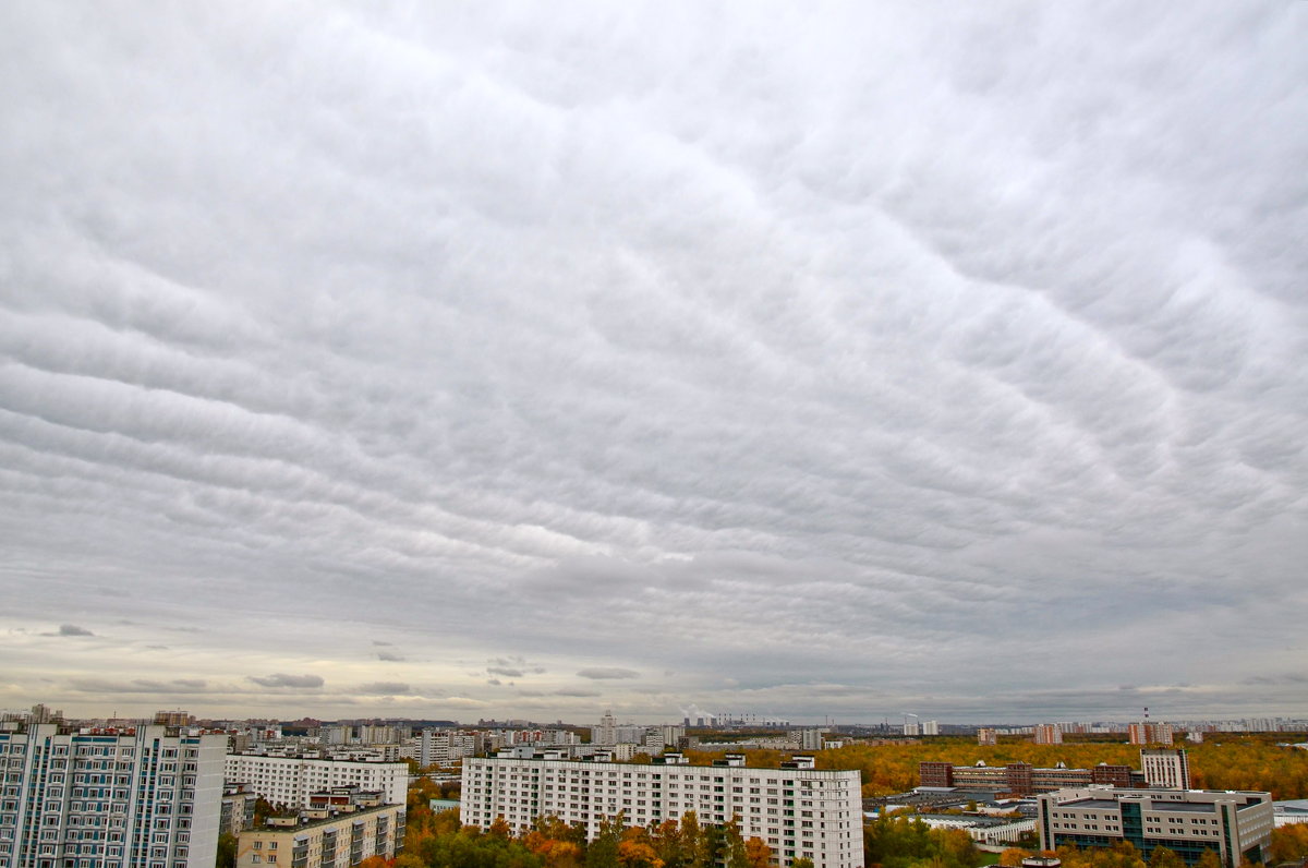 Осень в городе - Елена Солнечная