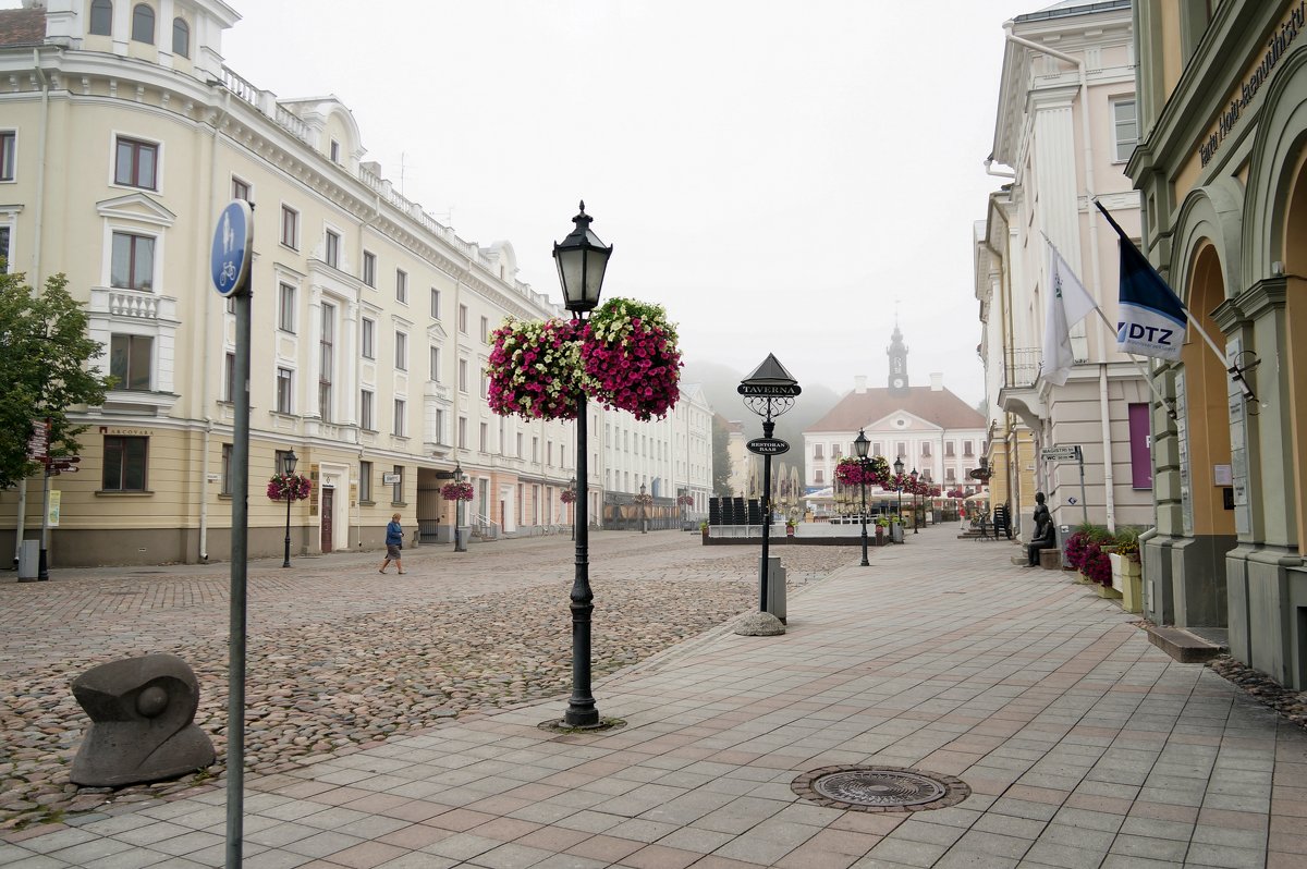 Tartu, Utrennij tuman - Rena Vi