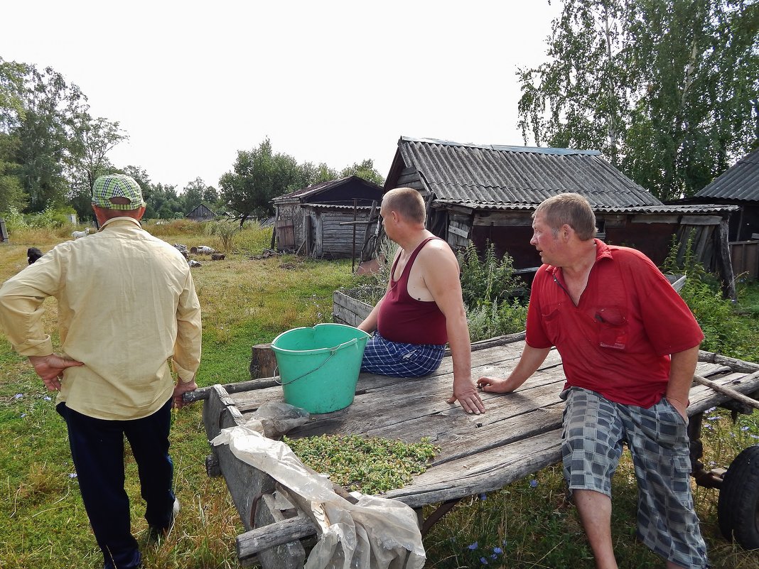 Повседневная жизнь - Валентина Пирогова