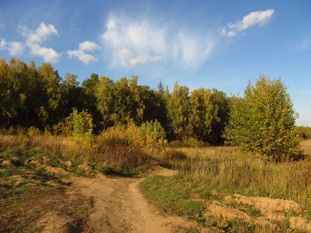 Осень в Абрамцеве IMG_1718 - Андрей Лукьянов