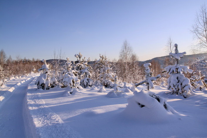 Снежный наряд - Александр Рождественский