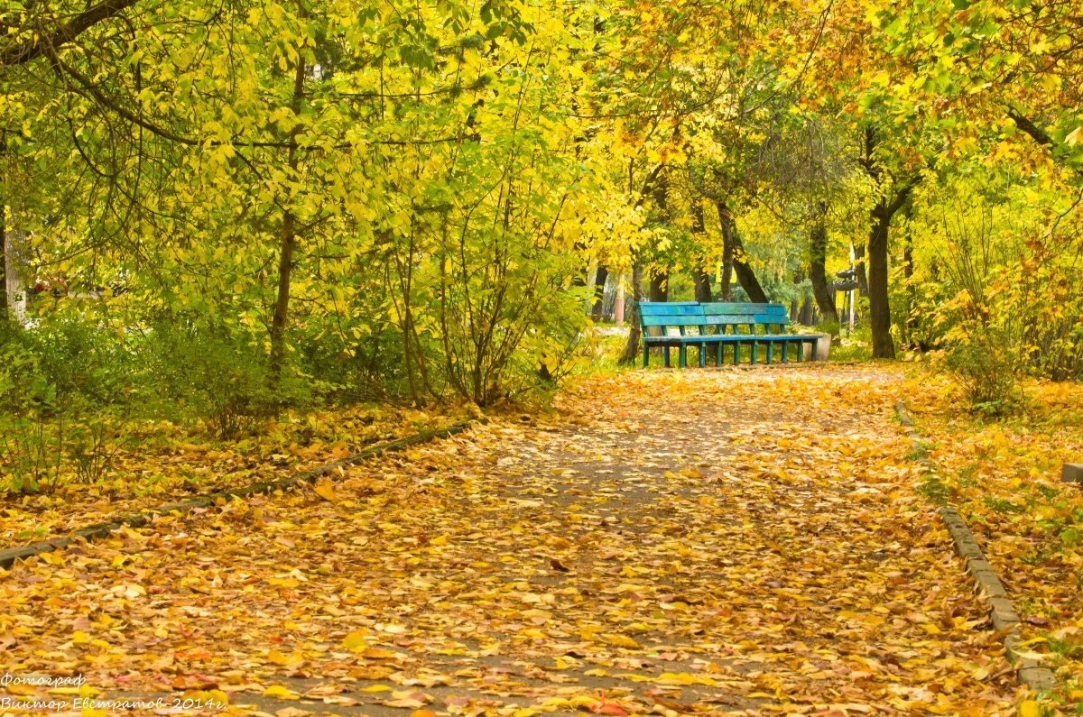 Осень в городе. - Виктор Евстратов