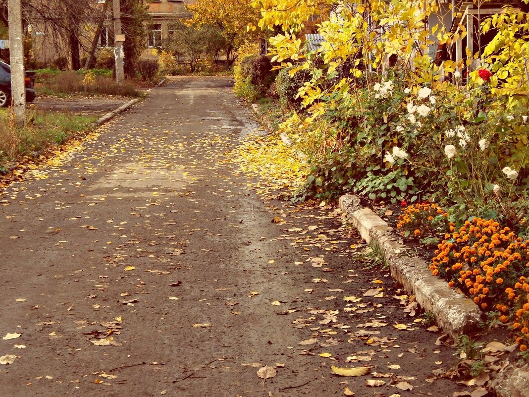 Осень в городе:_ - Valeriya Voice