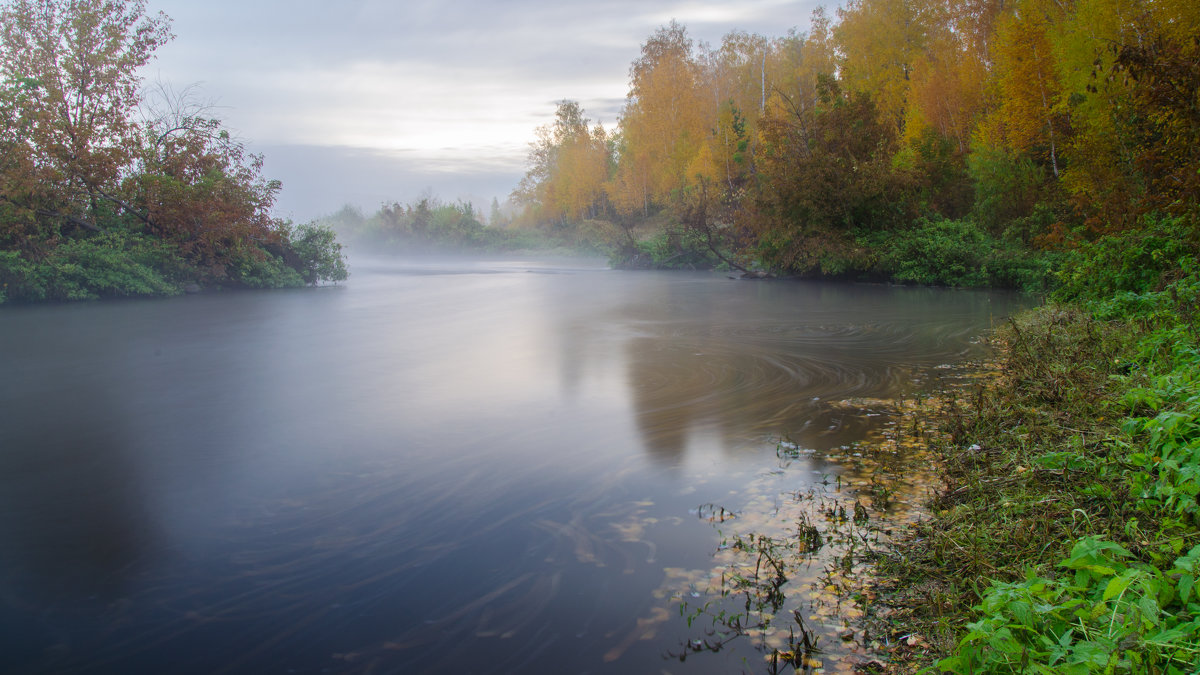Туманное утро на реке - Игорь Турукин