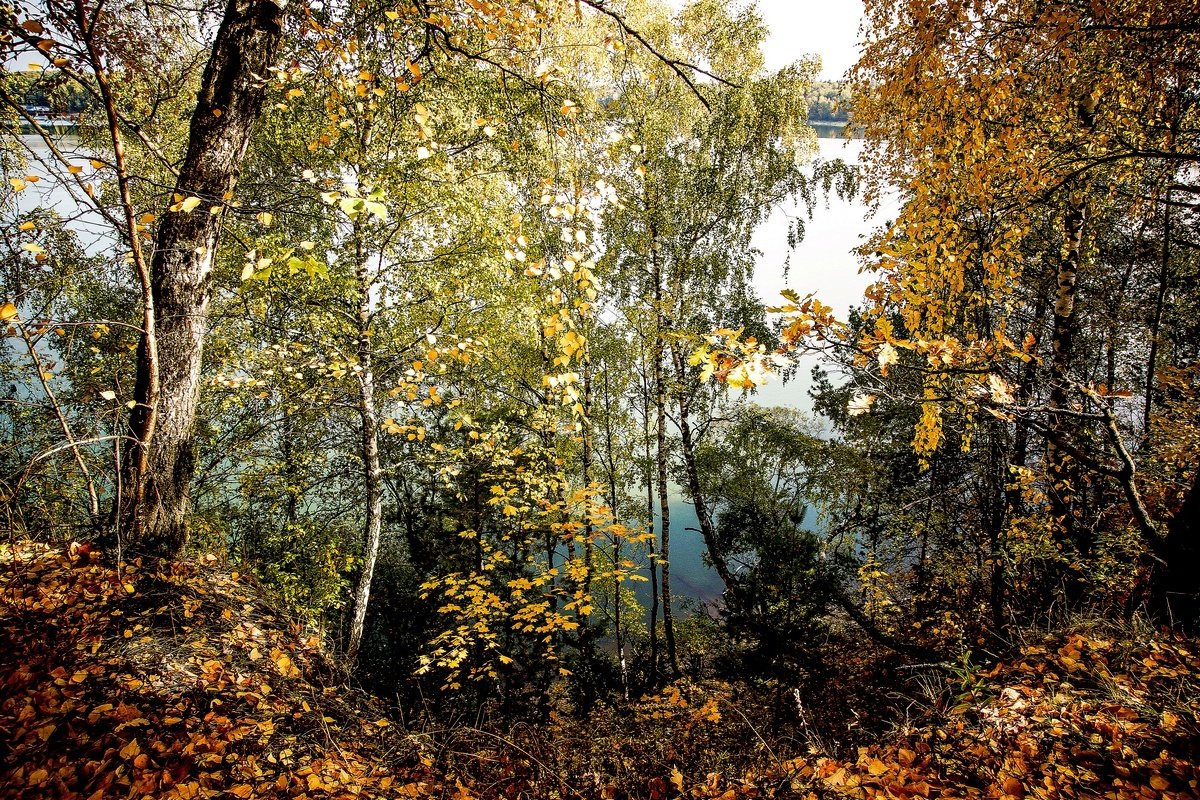 Осень - Владимир Воробьев