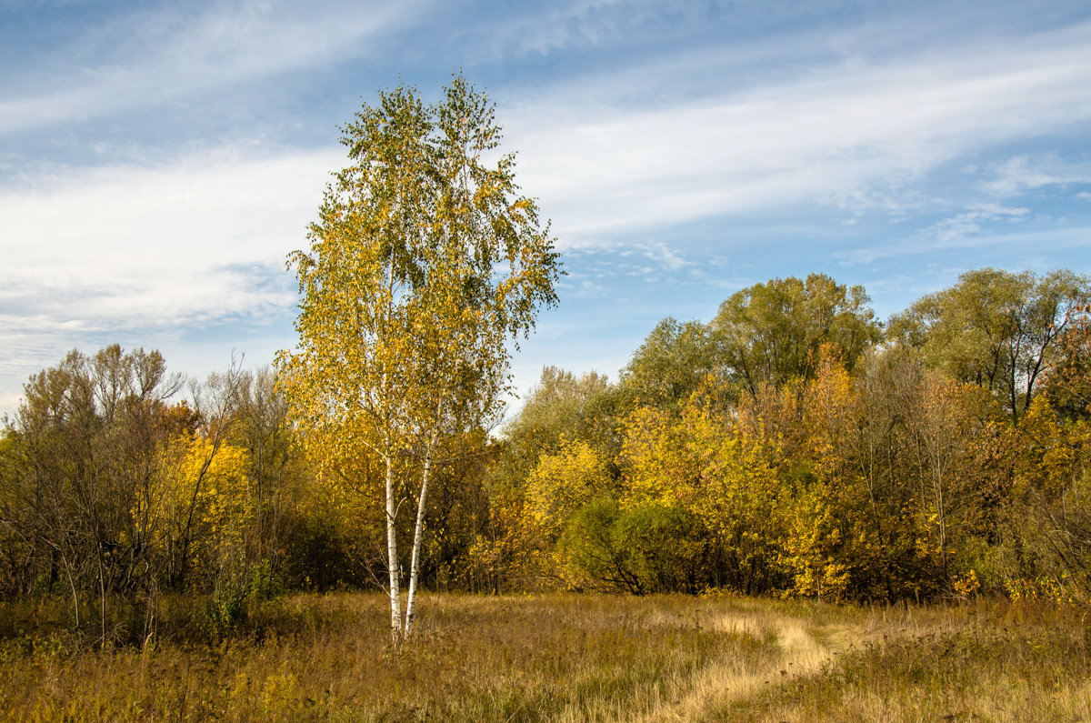 Осень - Виктор Позняков