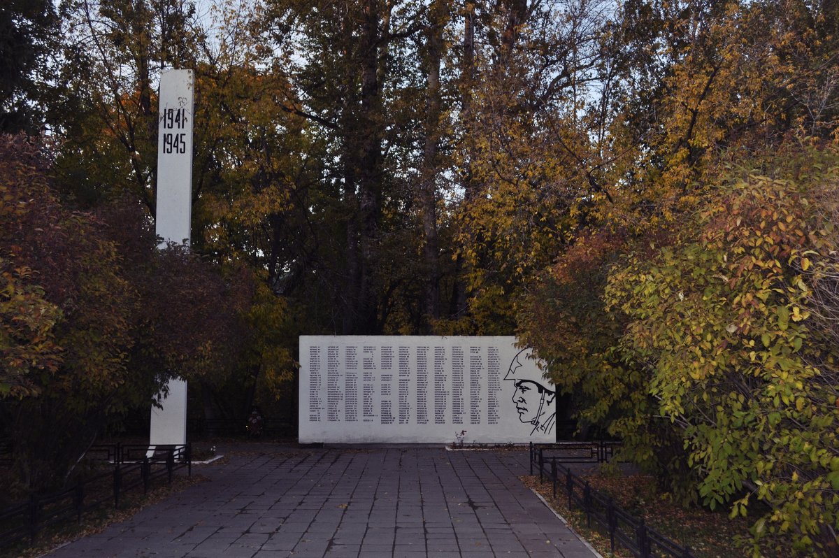 Памятник тем, кто сражался за родину - Елена Евстигнеева