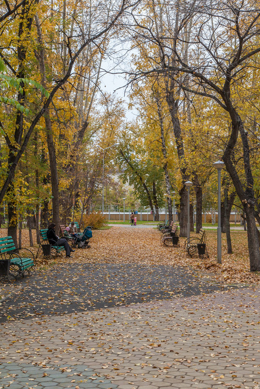 Осень - Евгений Мельников