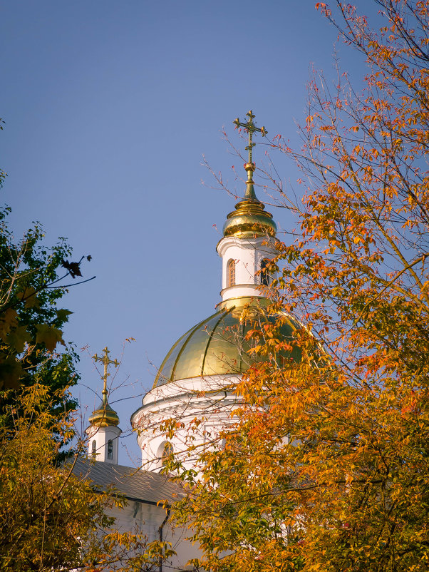 ... - Александр Рамус