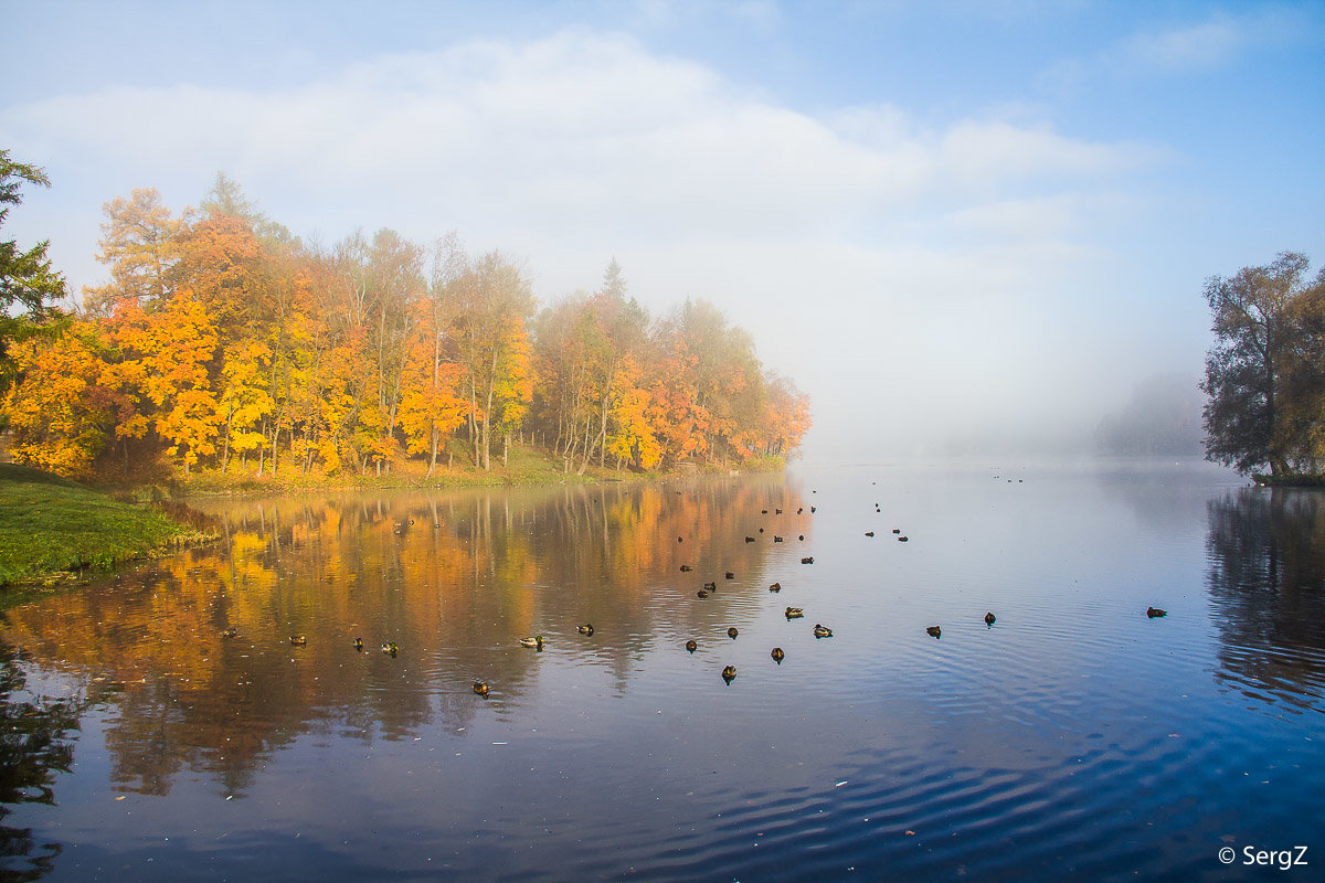 Туман над озером - Сергей Залаутдинов