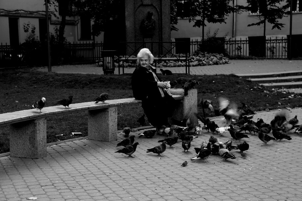 Женщина , кот и голуби.... - Елена Разумилова