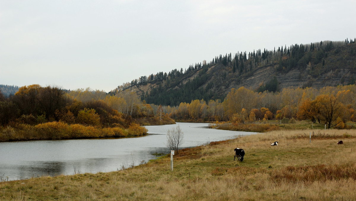 Осень - Радмир Арсеньев