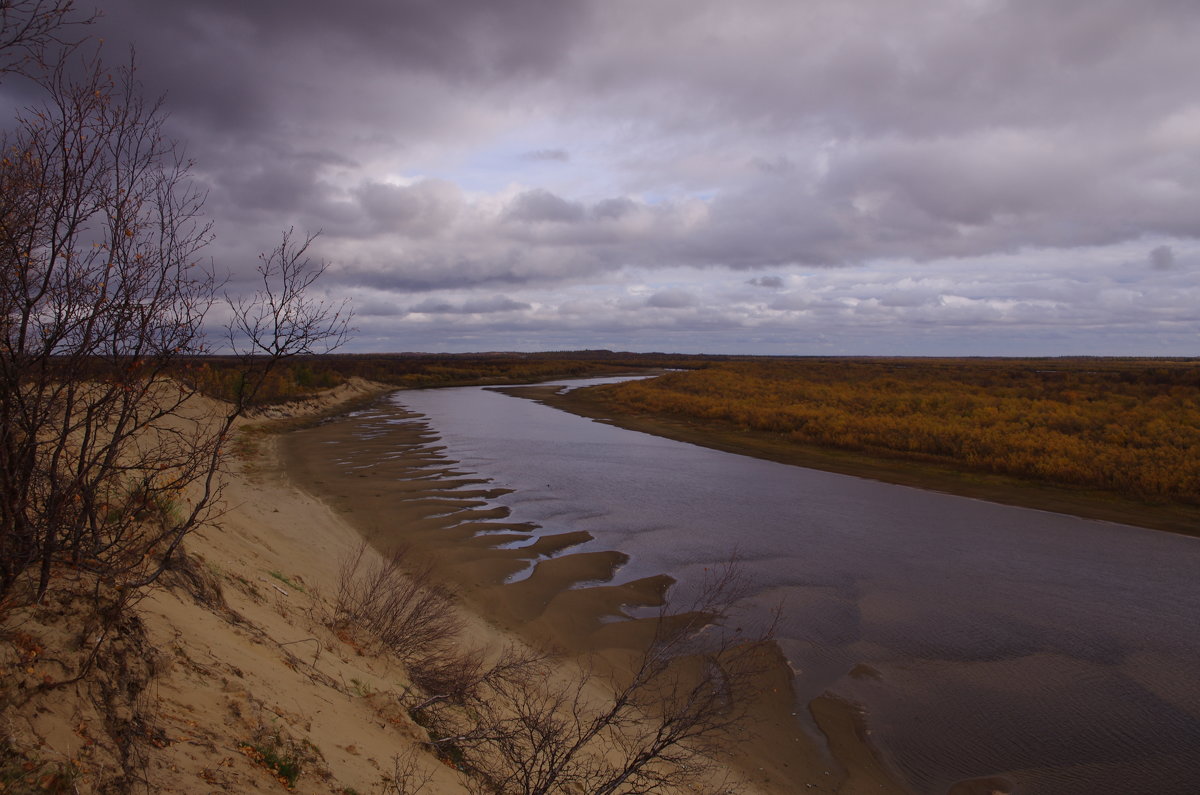 Песчаные берега, холодные реки - Медведев Сергей 