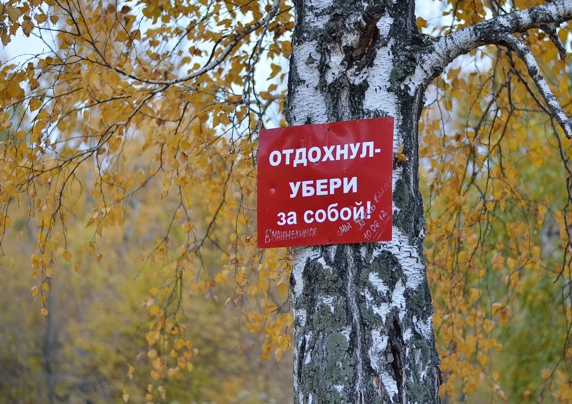 Табличка в лесу - Виталий Городниченко