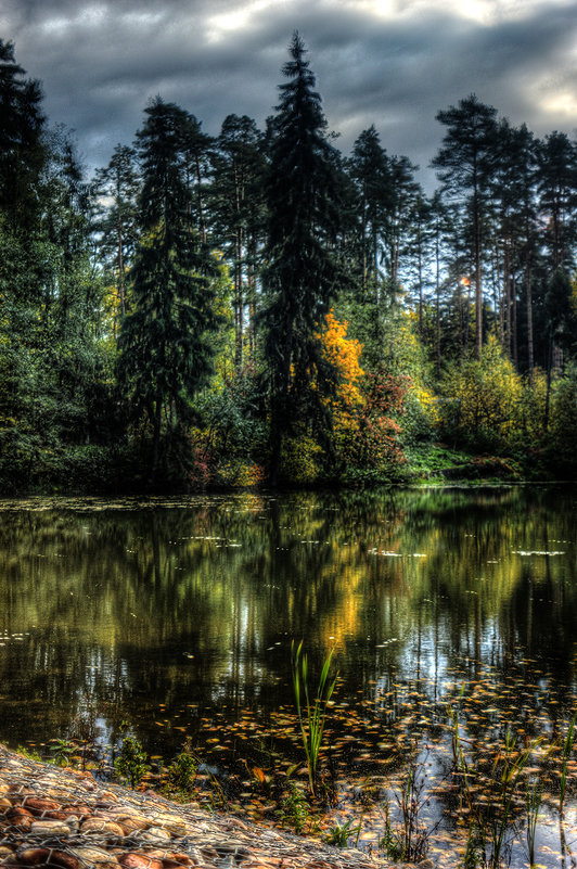 лес и вода... - Евгений Трофименко