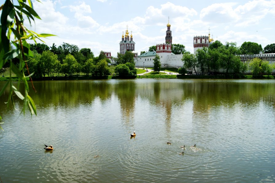 Пруд у Новоспасского монастыря