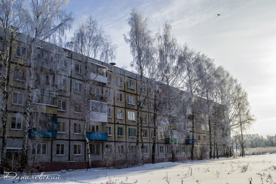 Утро зимнее - Павел Данилевский