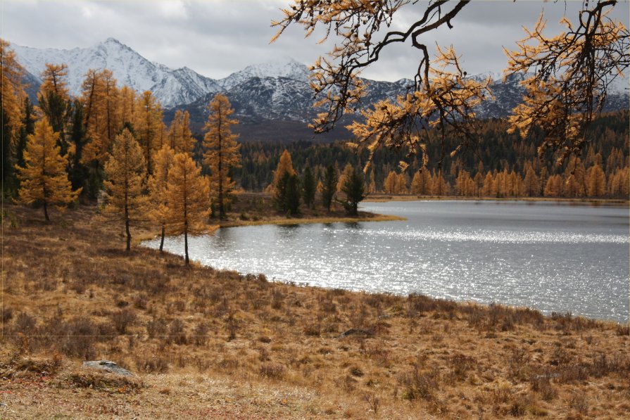Озеро на перевале Улаган. - Oleg Kulakov