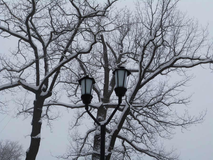 зима, улица, фонарь - Инга Егорцева